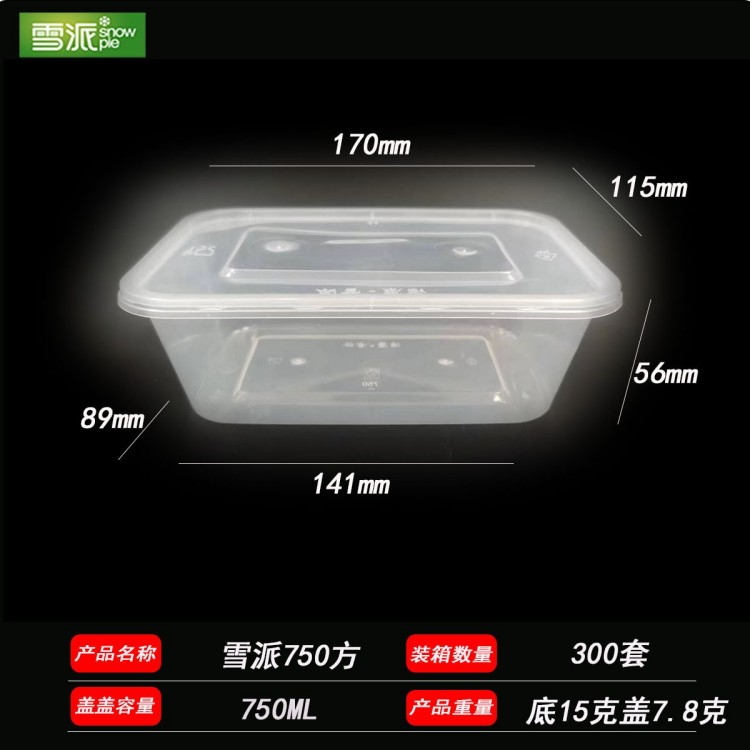 Injection molded rectangular plastic lunch box
