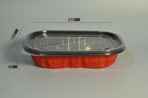 Transparent cubic container